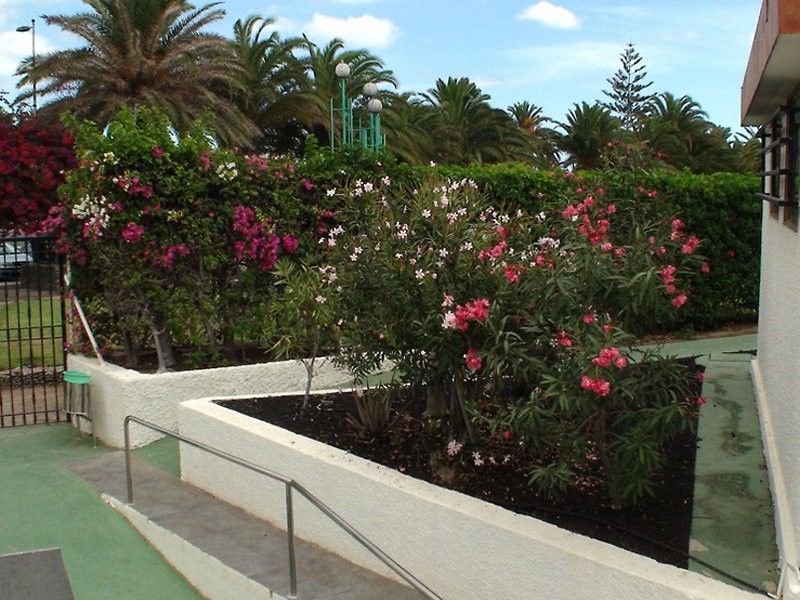 Doña Rosa